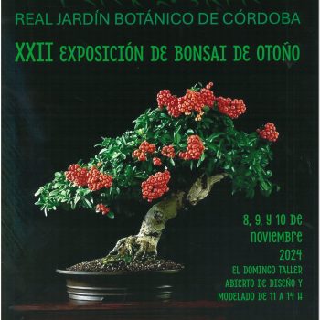 cartel expo bonsai